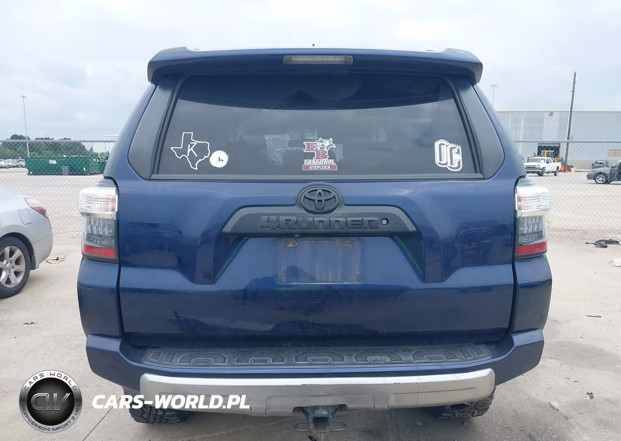 2019 Toyota 4Runner Trd Off Road Premium VIN:JTEBU5JR7K5646290 - 17