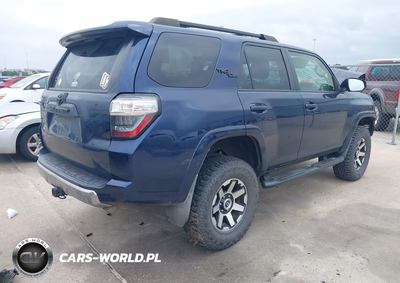 2019 Toyota 4Runner Trd Off Road Premium VIN:JTEBU5JR7K5646290 - 4