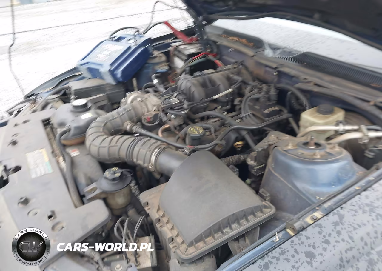 2006 Ford Mustang V6 VIN:1ZVFT80N865156632 - 10