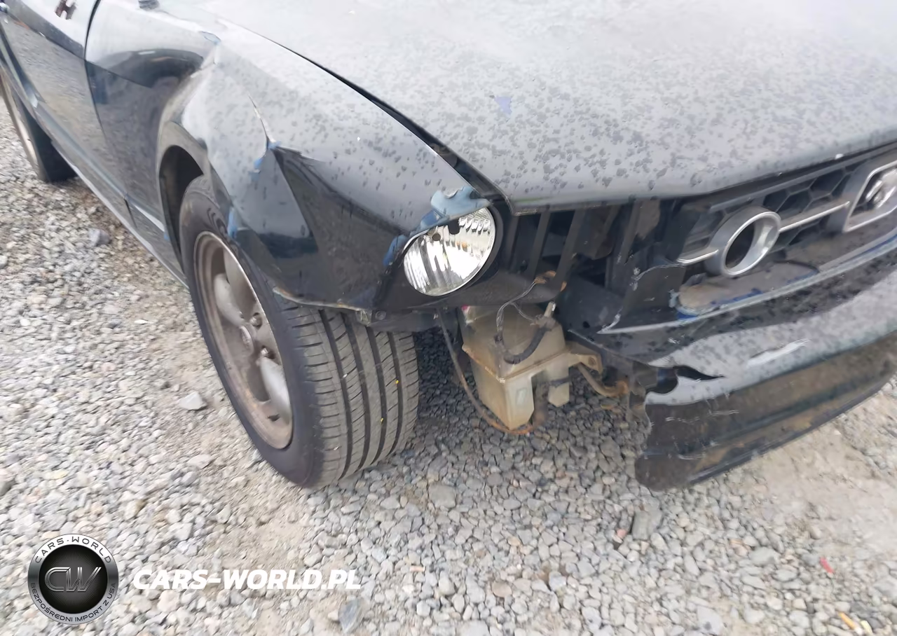 2006 Ford Mustang V6 VIN:1ZVFT80N865156632 - 13