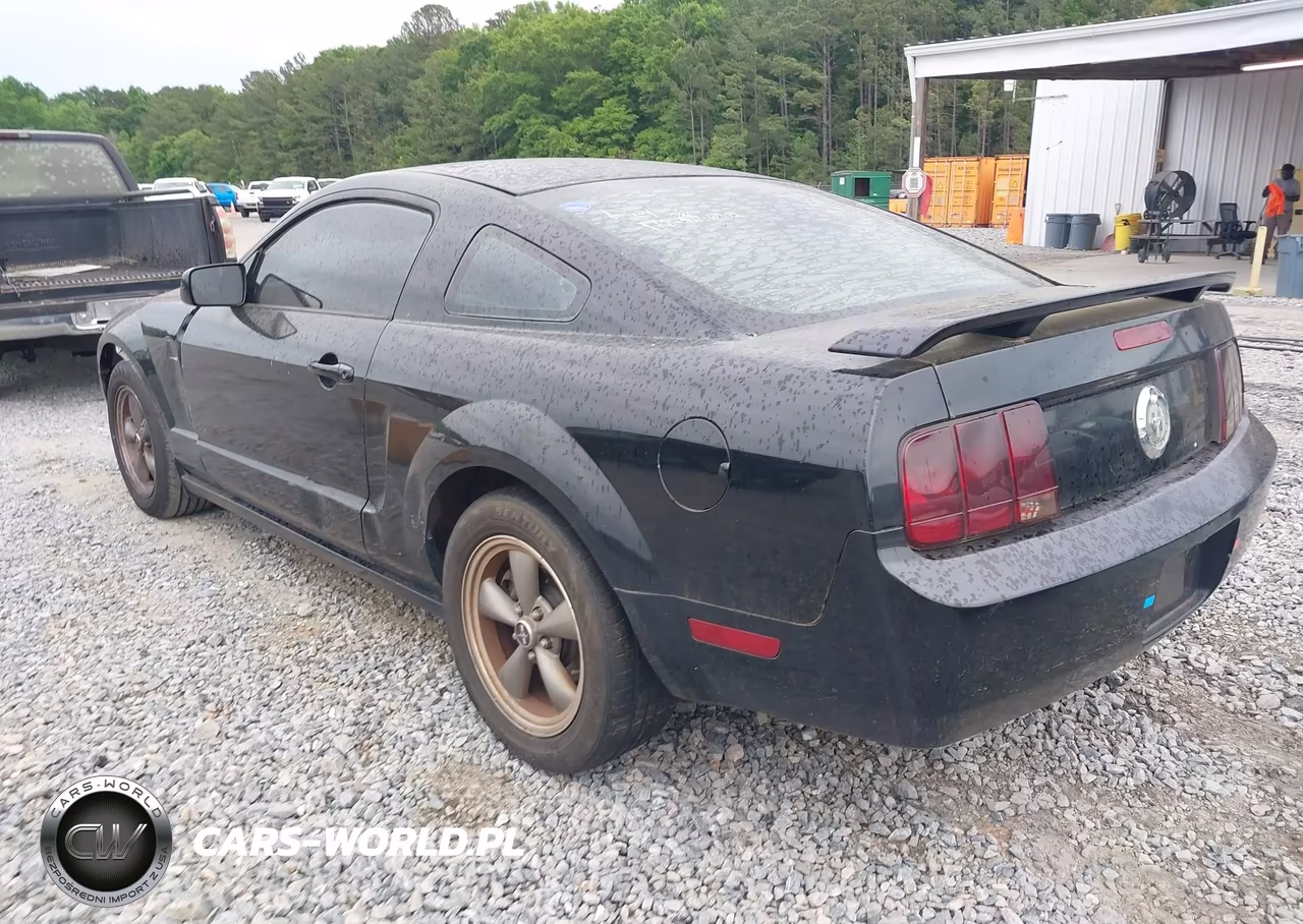 2006 Ford Mustang V6 VIN:1ZVFT80N865156632 - 3
