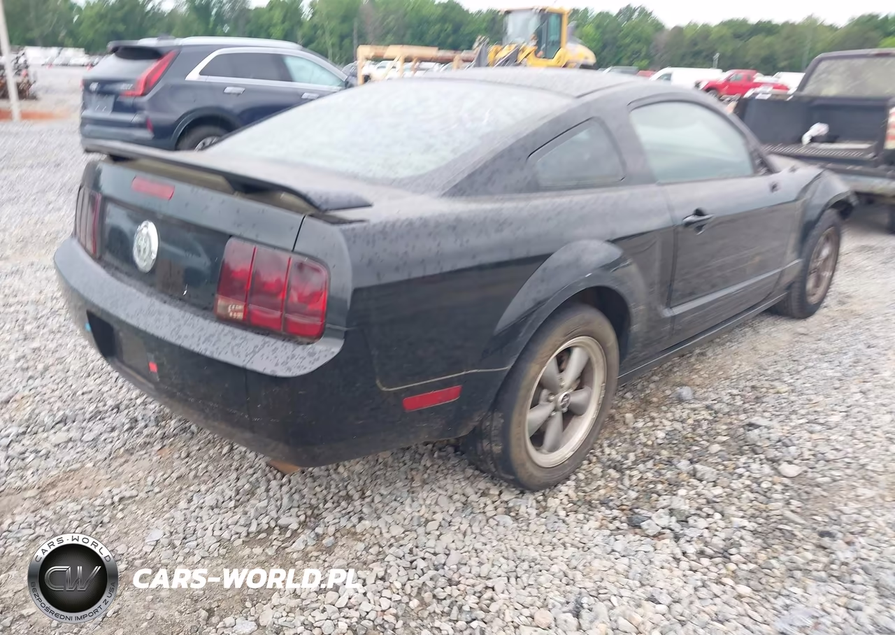 2006 Ford Mustang V6 VIN:1ZVFT80N865156632 - 4