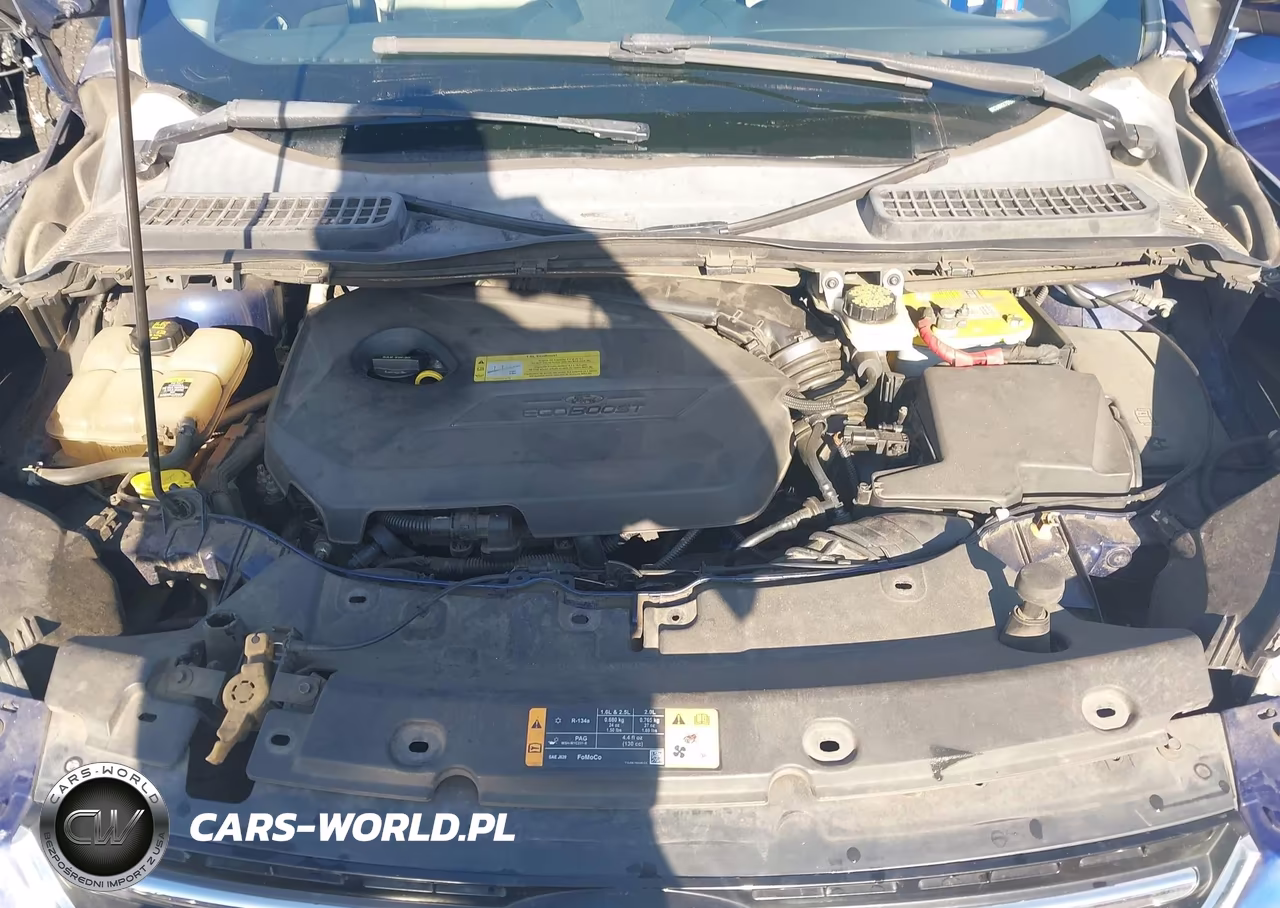 2013 Ford Escape Sel VIN:1FMCU0HX7DUA47071 - 10