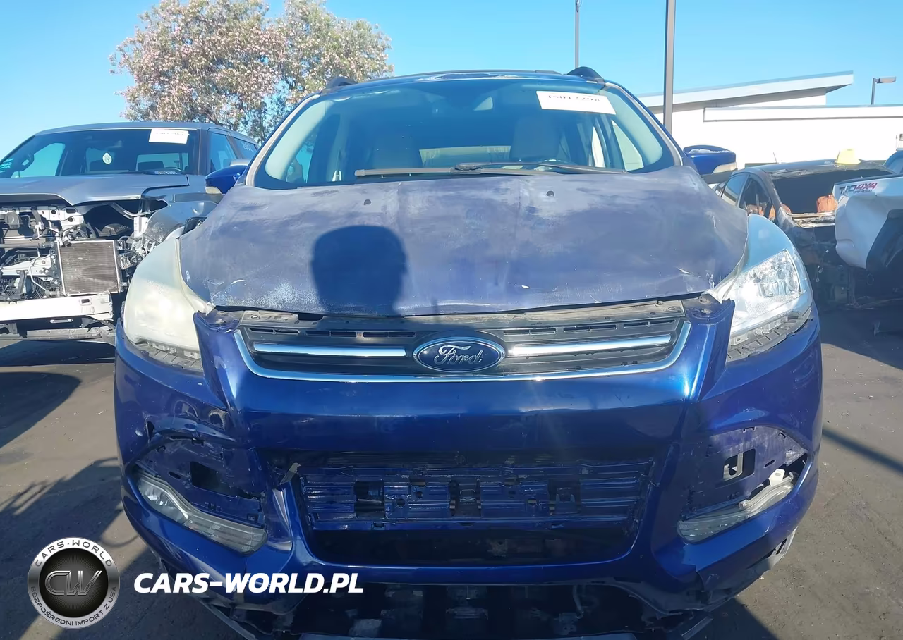 2013 Ford Escape Sel VIN:1FMCU0HX7DUA47071 - 6
