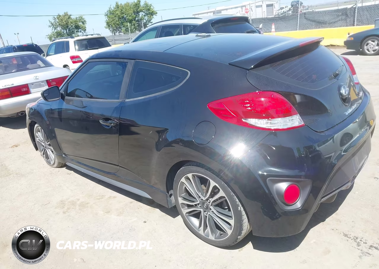 2016 Hyundai Veloster Turbo VIN:KMHTC6AE2GU300946 - 3