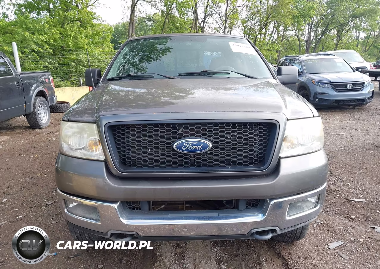 2004 Ford F-150 Fx4-Lariat-Xlt VIN:1FTPW14514KD92490 - 12