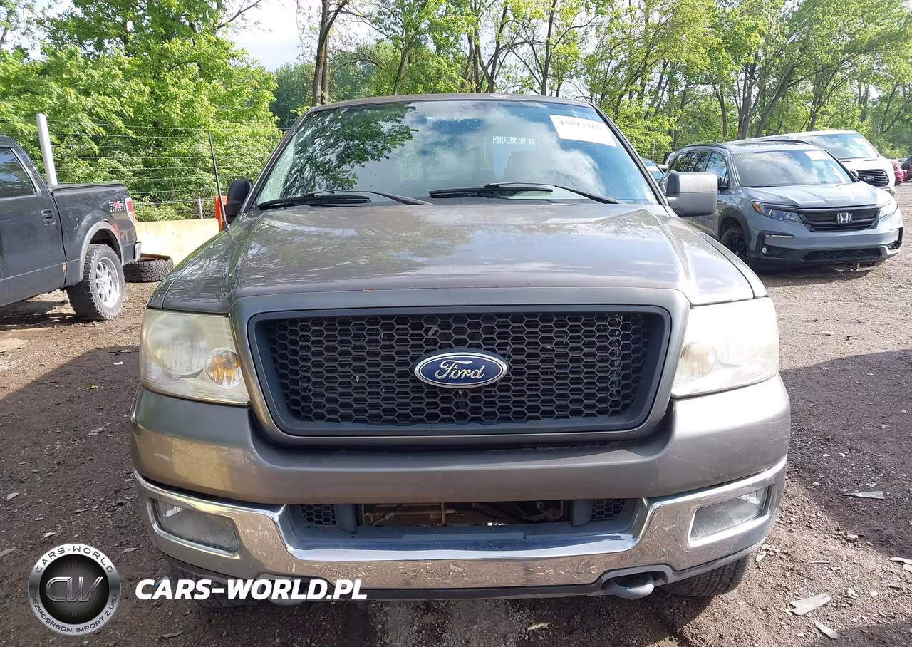 2004 Ford F-150 Fx4-Lariat-Xlt VIN:1FTPW14514KD92490 - 6