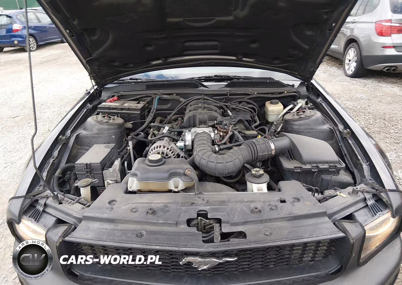 2008 Ford Mustang V6 Deluxe-V6 Premium VIN:1ZVHT84N485144824 - 10