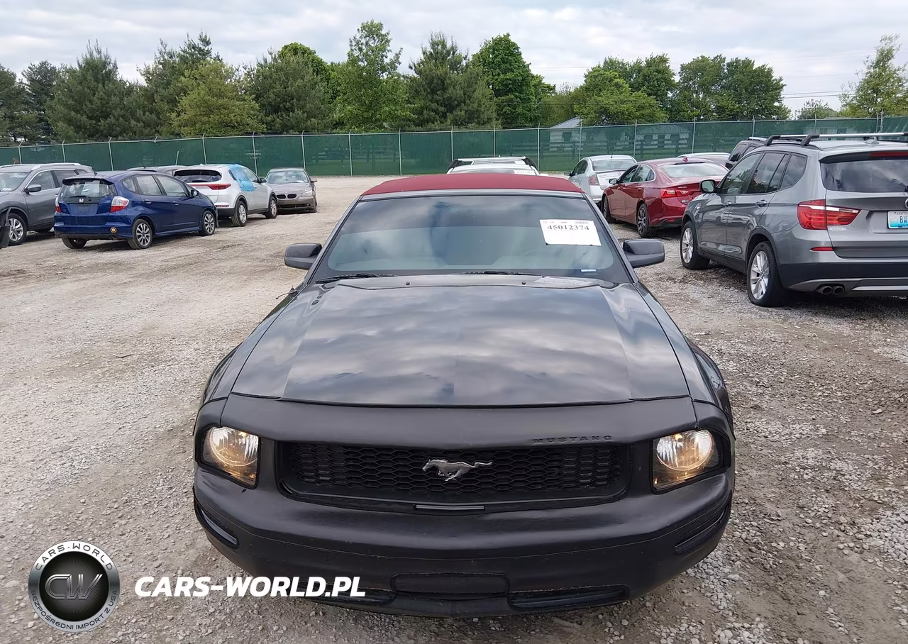 2008 Ford Mustang V6 Deluxe-V6 Premium VIN:1ZVHT84N485144824 - 12