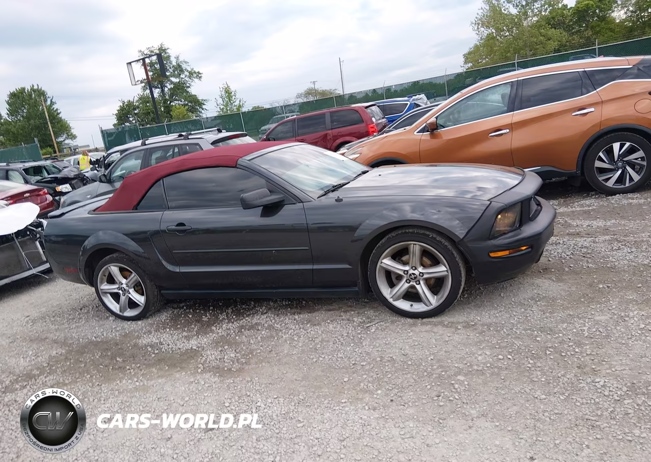2008 Ford Mustang V6 Deluxe-V6 Premium VIN:1ZVHT84N485144824 - 13