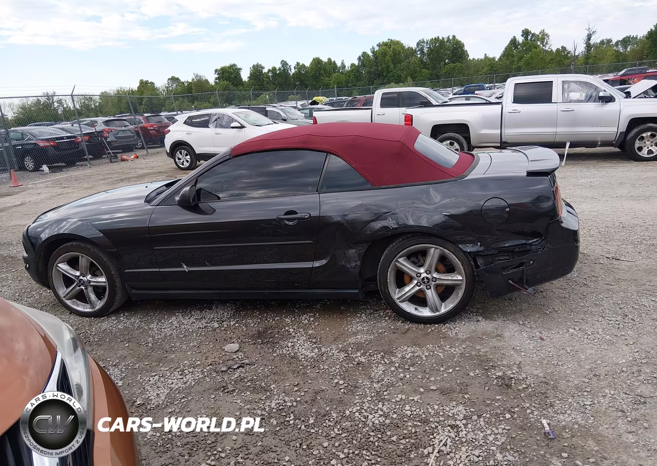 2008 Ford Mustang V6 Deluxe-V6 Premium VIN:1ZVHT84N485144824 - 14