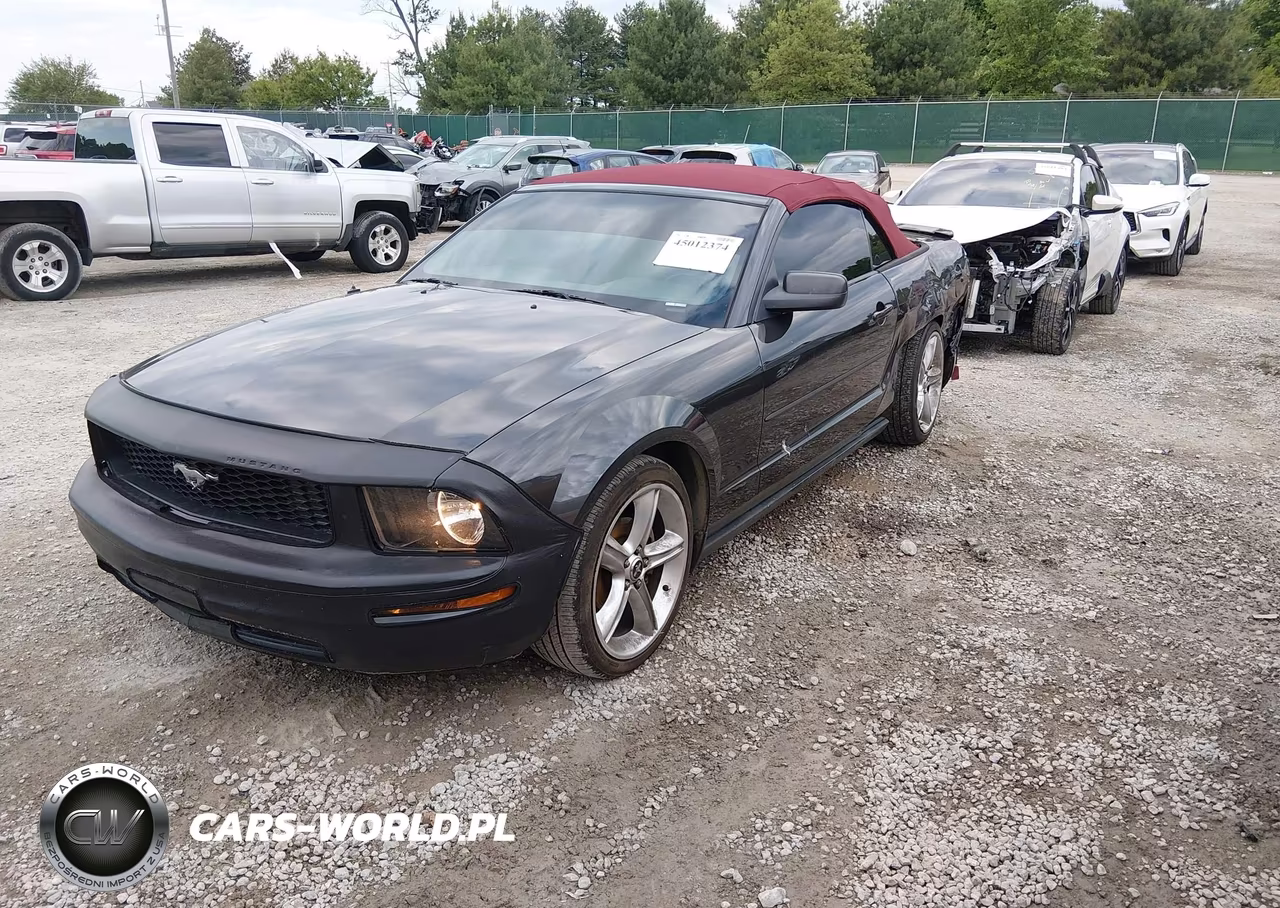 2008 Ford Mustang V6 Deluxe-V6 Premium VIN:1ZVHT84N485144824 - 2