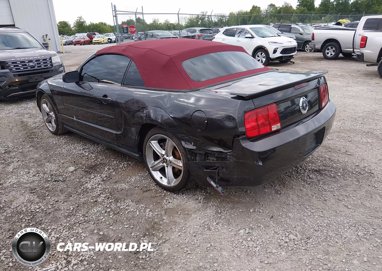 2008 Ford Mustang V6 Deluxe-V6 Premium VIN:1ZVHT84N485144824 - 3
