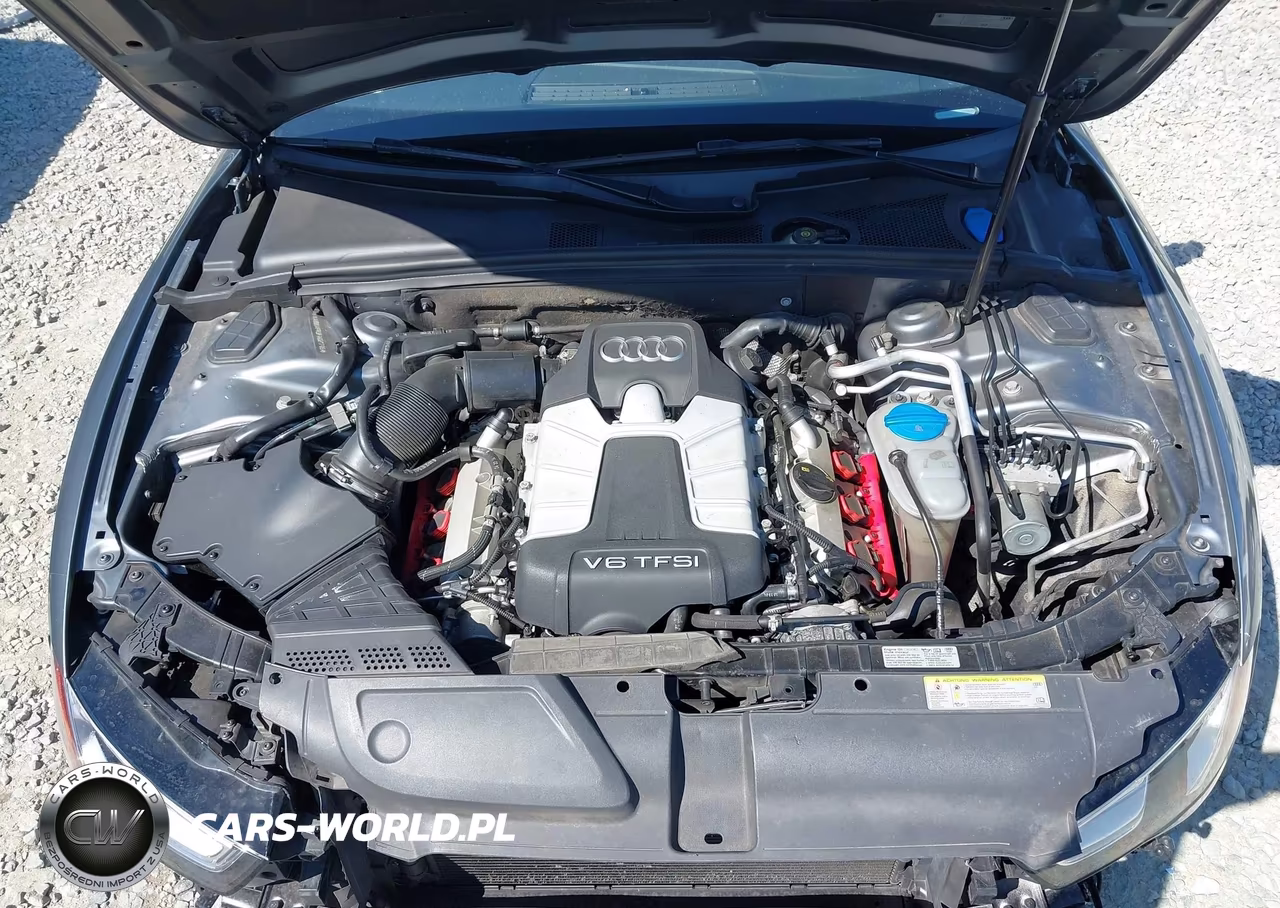 2015 Audi S5 3.0T Premium Plus VIN:WAUGGAFR3FA021785 - 10