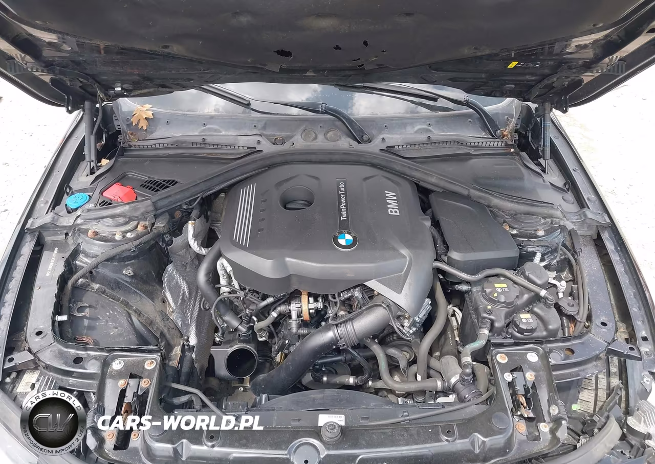 2018 BMW 430I Gran Coupe xDrive VIN:WBA4J3C58JBG96233 - 10