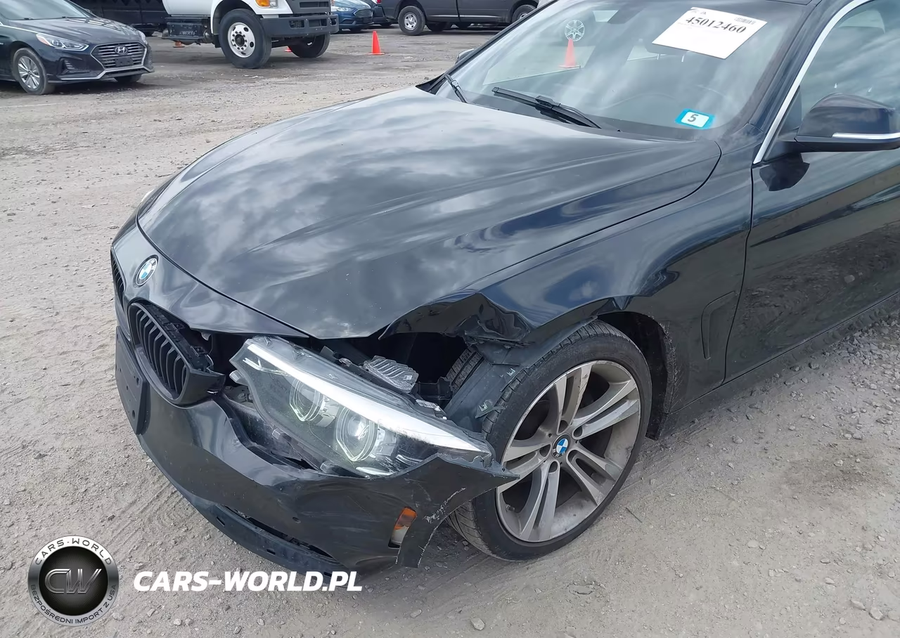 2018 BMW 430I Gran Coupe xDrive VIN:WBA4J3C58JBG96233 - 6