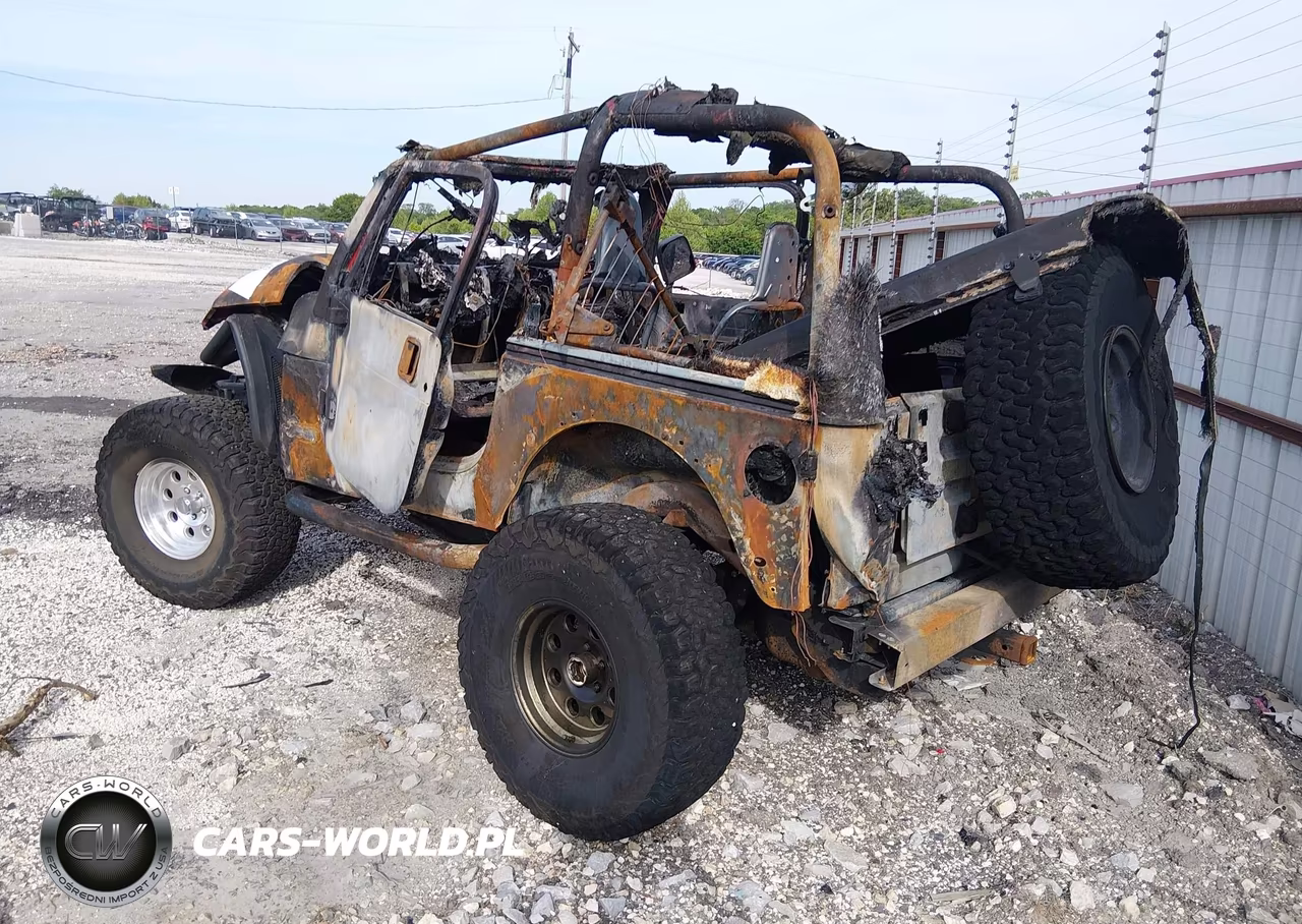 2002 Jeep Wrangler Sport VIN:1J4FA49S22P725073 - 3
