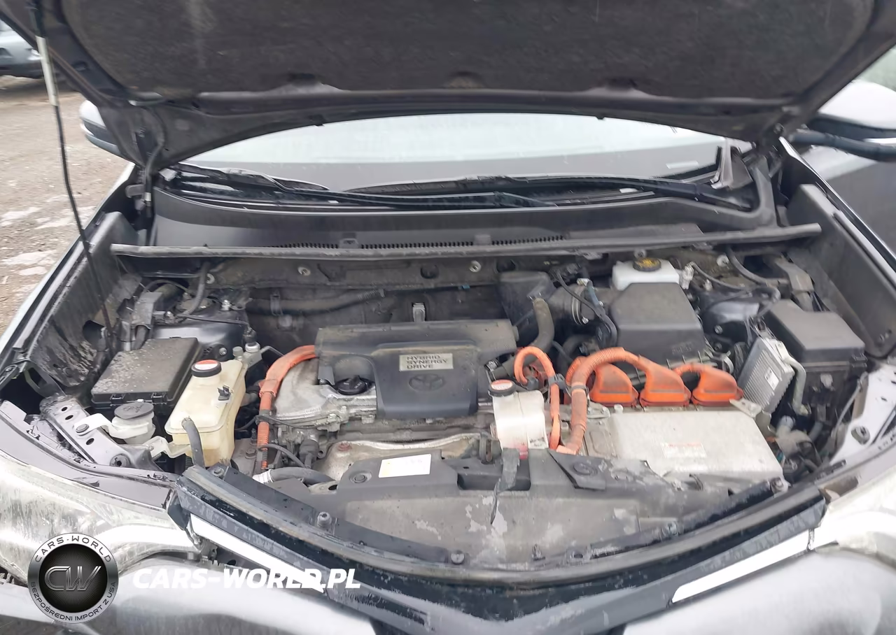 2016 Toyota Rav4 Hybrid Xle VIN:JTMRJREV9GD006590 - 10