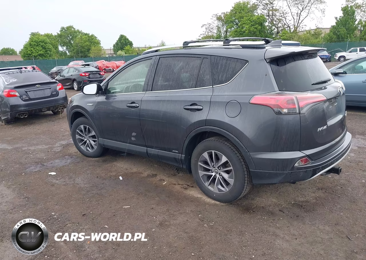 2016 Toyota Rav4 Hybrid Xle VIN:JTMRJREV9GD006590 - 3