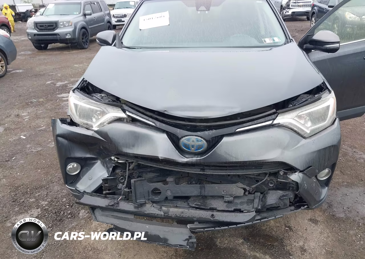 2016 Toyota Rav4 Hybrid Xle VIN:JTMRJREV9GD006590 - 6