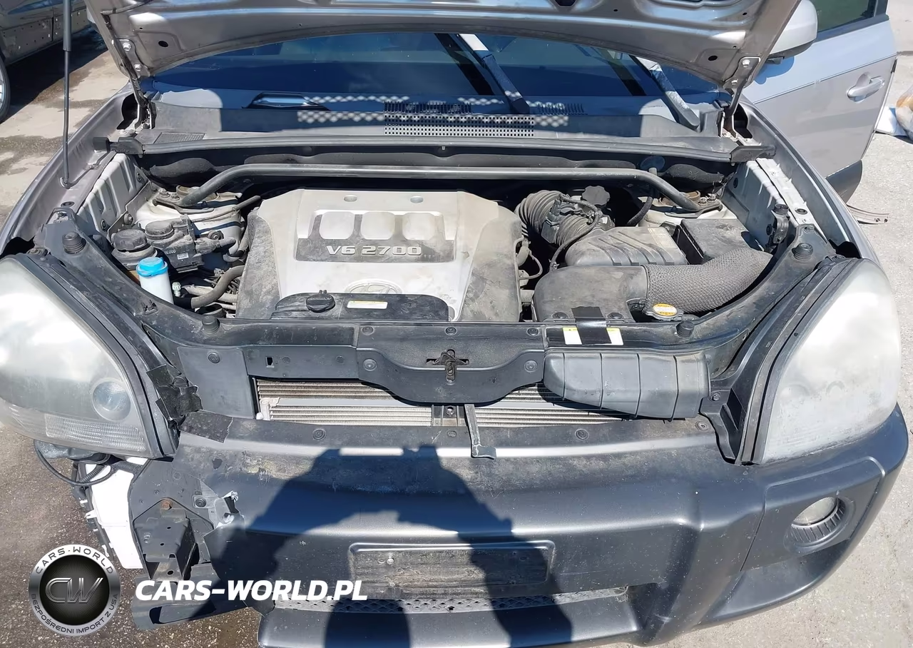 2005 Hyundai Tucson Gls-Lx VIN:KM8JN12D95U044800 - 10
