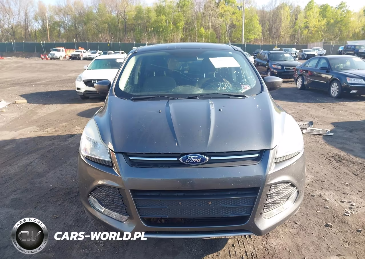 2016 Ford Escape Se VIN:1FMCU9G97GUA25714 - 12
