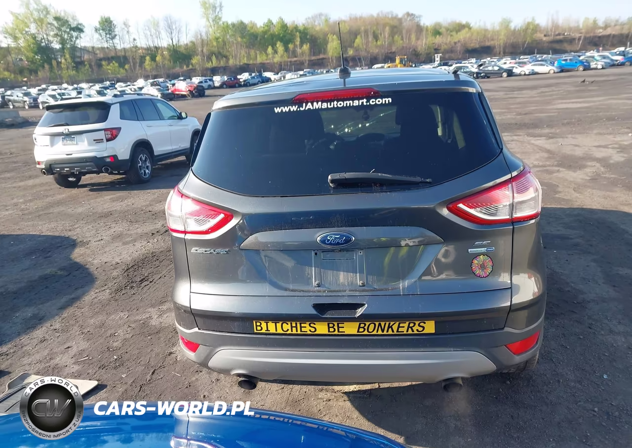 2016 Ford Escape Se VIN:1FMCU9G97GUA25714 - 16