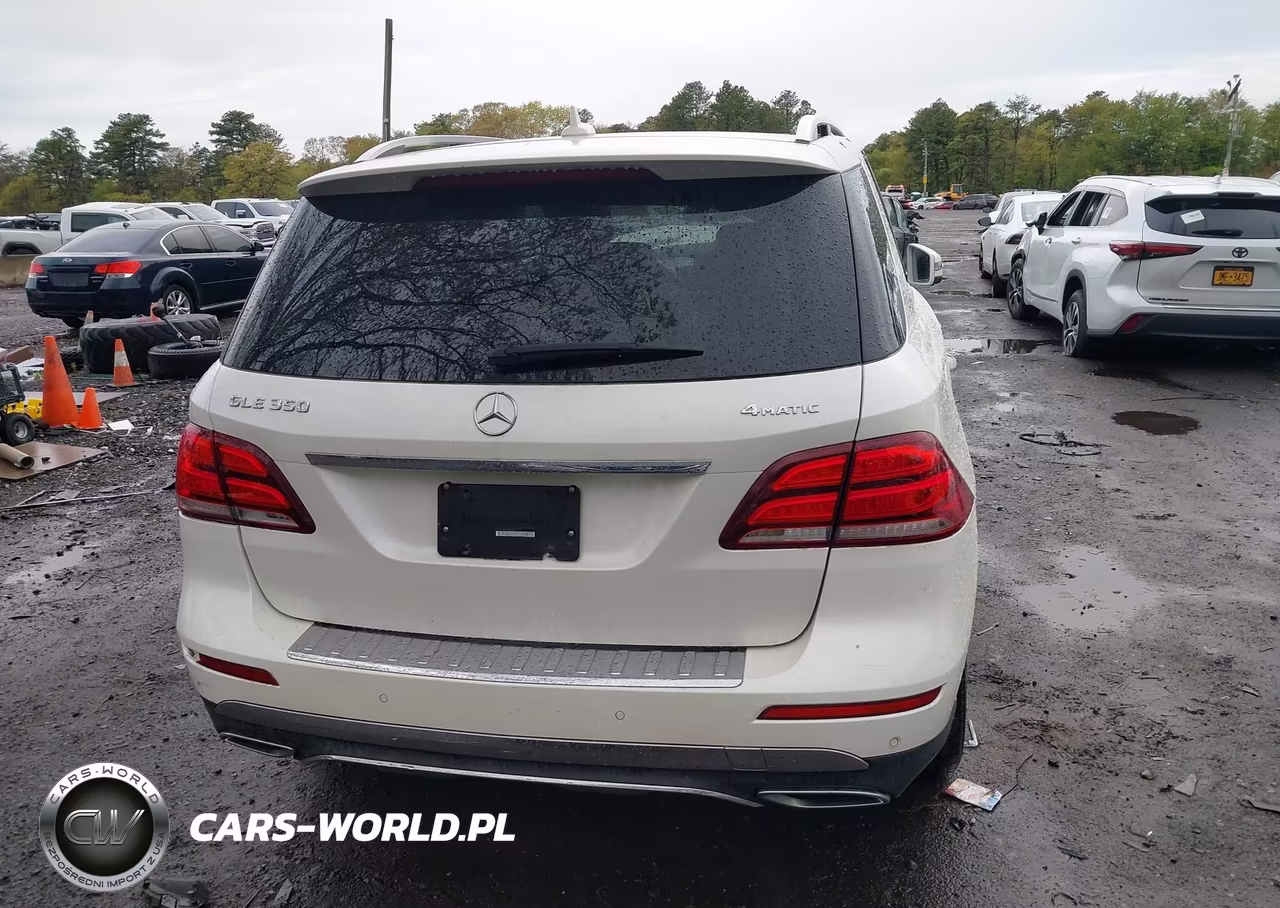 2017 Mercedes-Benz Gle 350 4Matic VIN:4JGDA5HB3HA967012 - 16