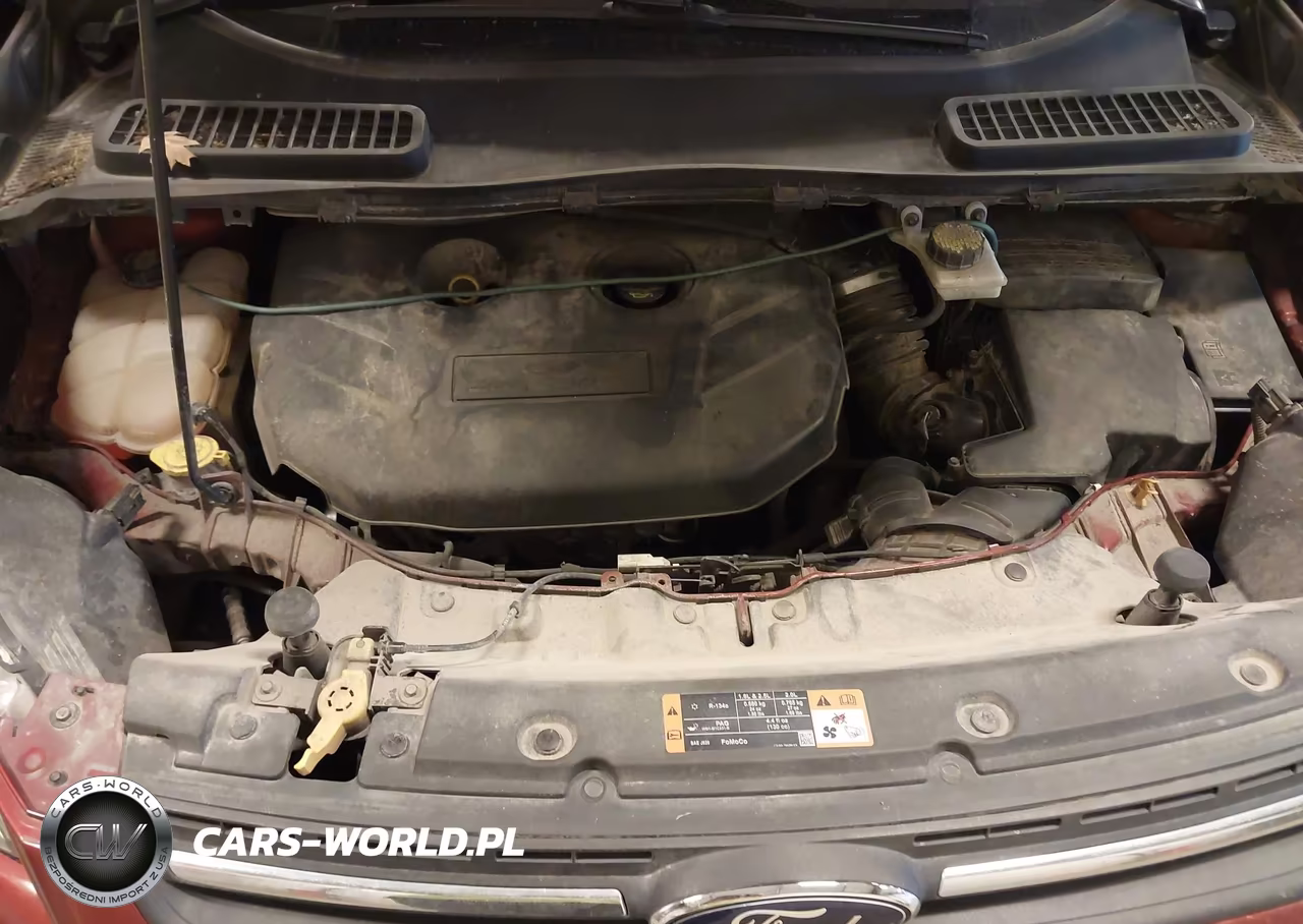 2015 Ford Escape Se VIN:1FMCU9G92FUA60207 - 10