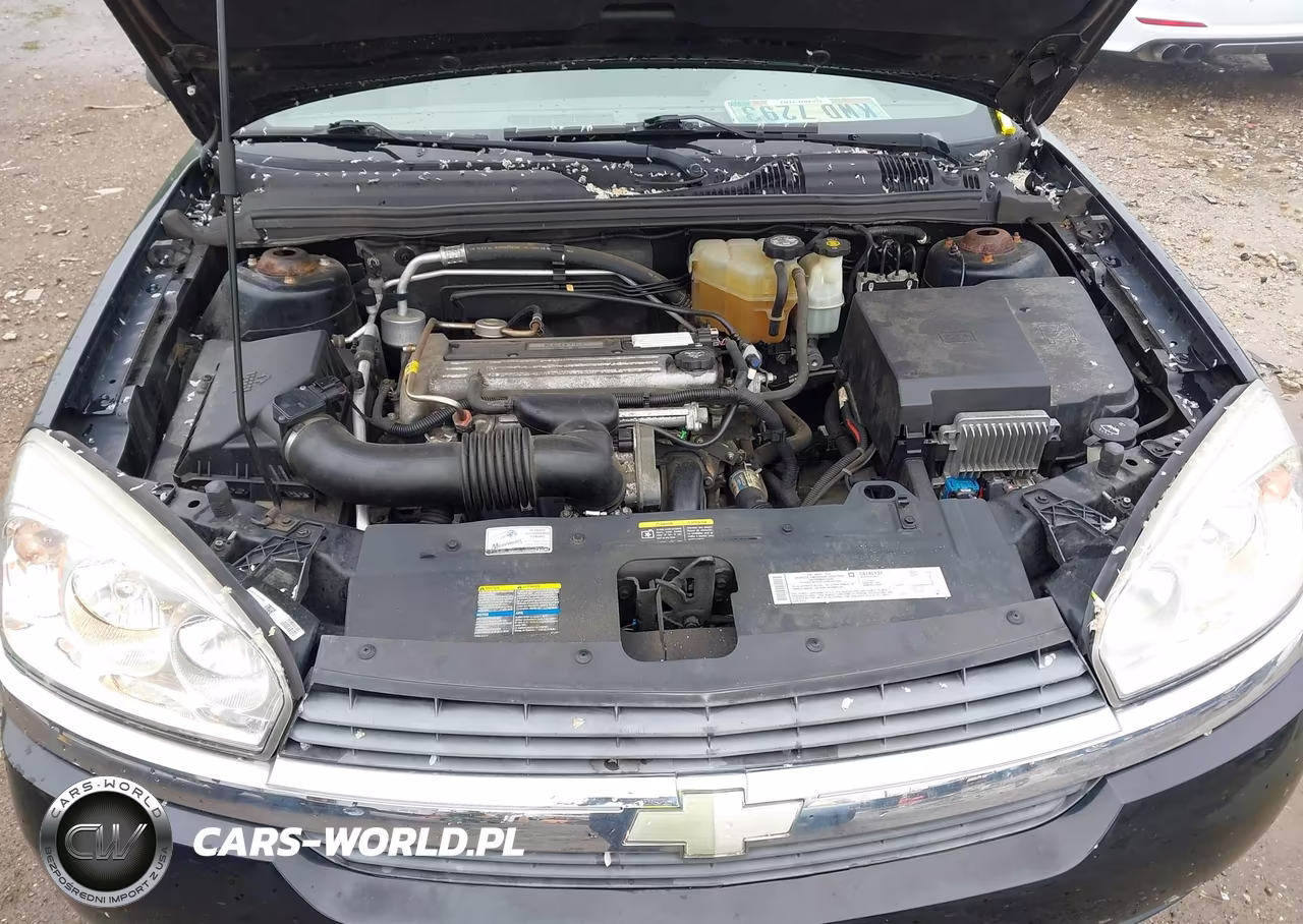 2005 Chevrolet Malibu VIN:1G1ZS52F95F110266 - 10
