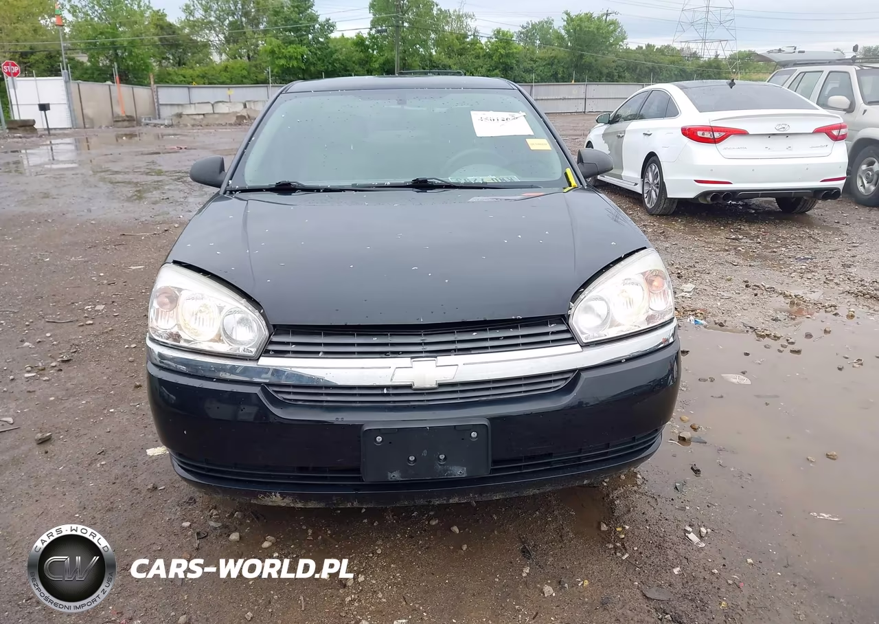 2005 Chevrolet Malibu VIN:1G1ZS52F95F110266 - 12