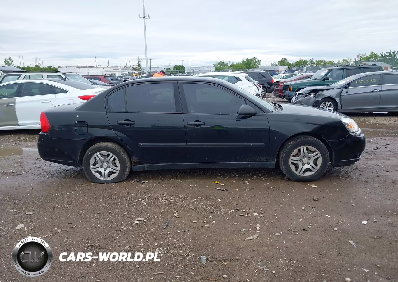 2005 Chevrolet Malibu VIN:1G1ZS52F95F110266 - 13