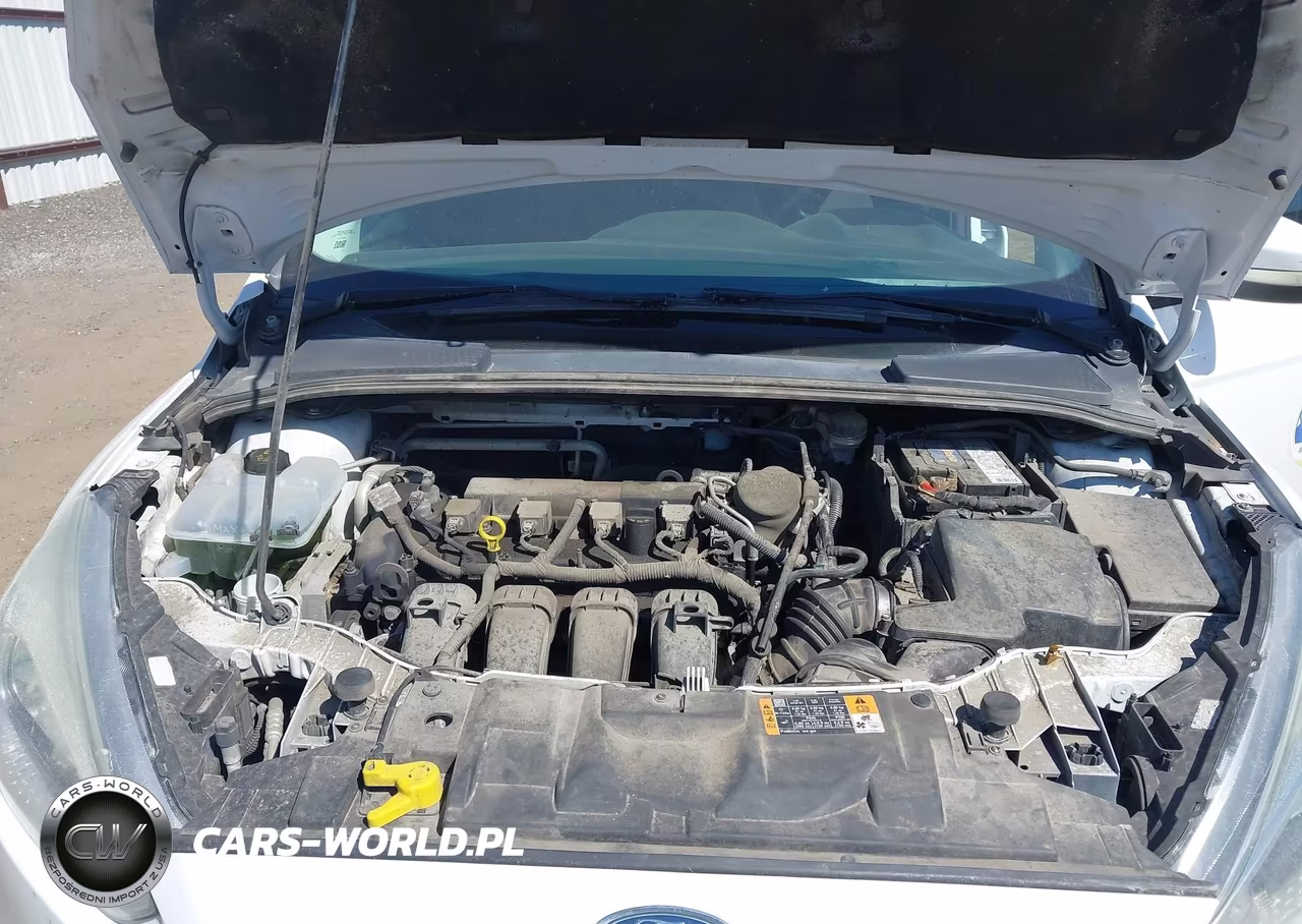 2015 Ford Focus Se VIN:1FADP3K24FL370040 - 10