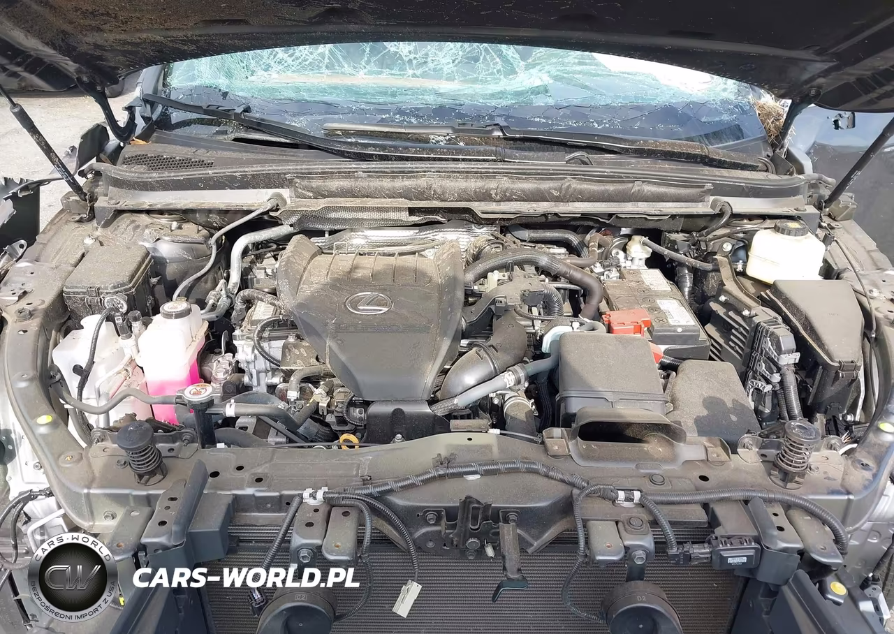 2024 Lexus Rx 350 Luxury VIN:2T2BAMBA8RC042806 - 10