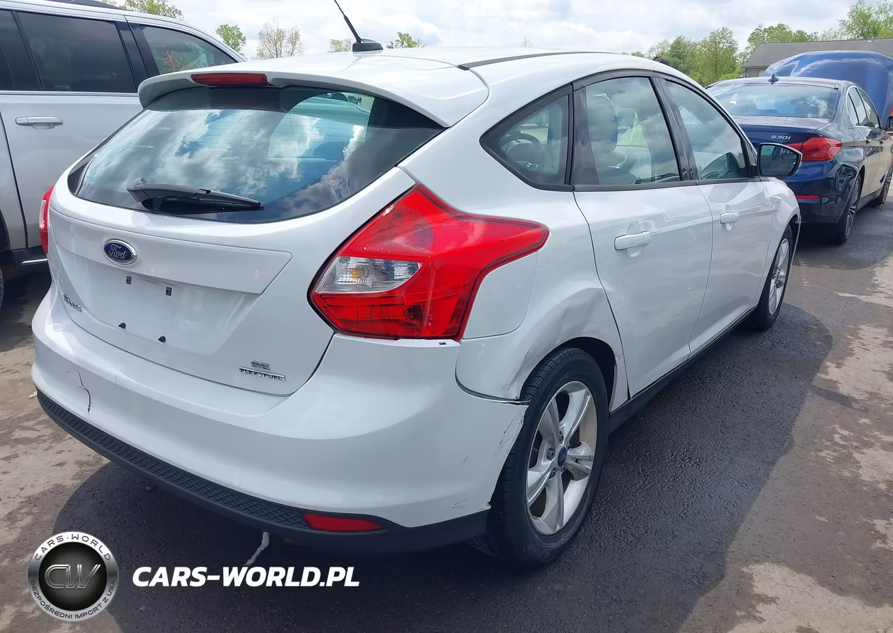 2014 Ford Focus Se VIN:1FADP3K20EL354139 - 4