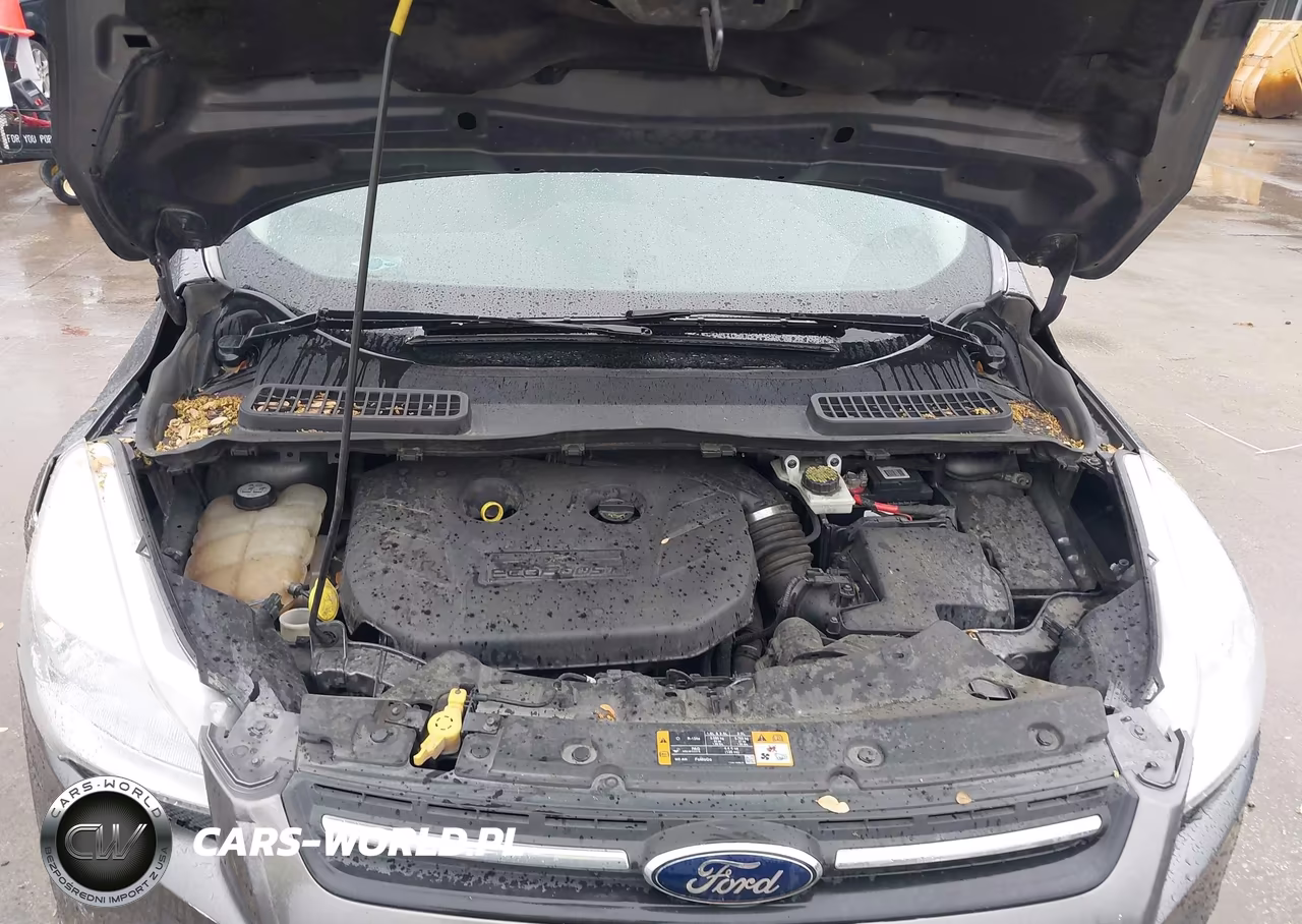2013 Ford Escape Se VIN:1FMCU0G97DUD09772 - 10