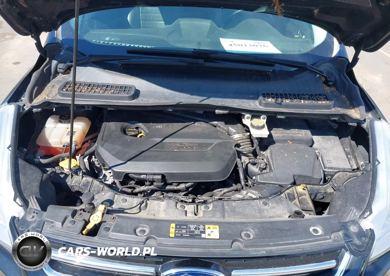 2013 Ford Escape Sel VIN:1FMCU9HX8DUA37251 - 10