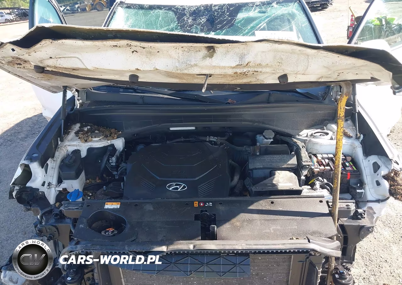 2021 Hyundai Palisade Sel VIN:KM8R4DHEXMU253288 - 10