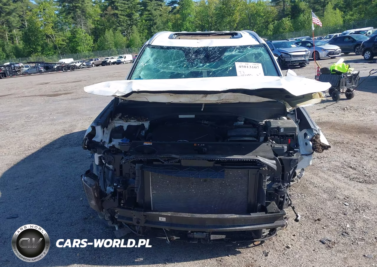 2021 Hyundai Palisade Sel VIN:KM8R4DHEXMU253288 - 12