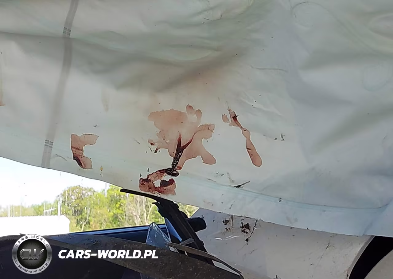 2021 Hyundai Palisade Sel VIN:KM8R4DHEXMU253288 - 14