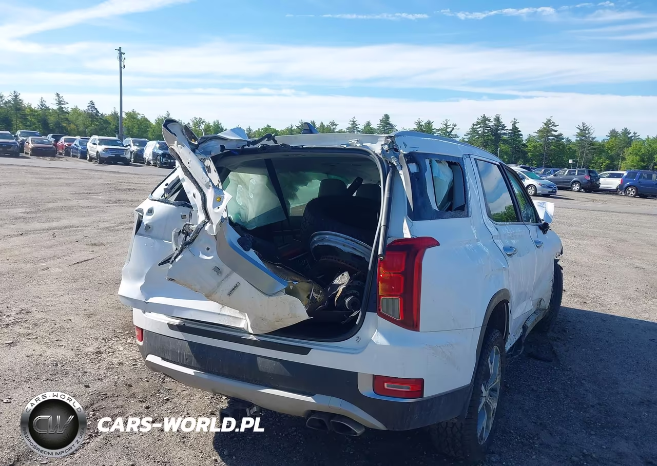 2021 Hyundai Palisade Sel VIN:KM8R4DHEXMU253288 - 16