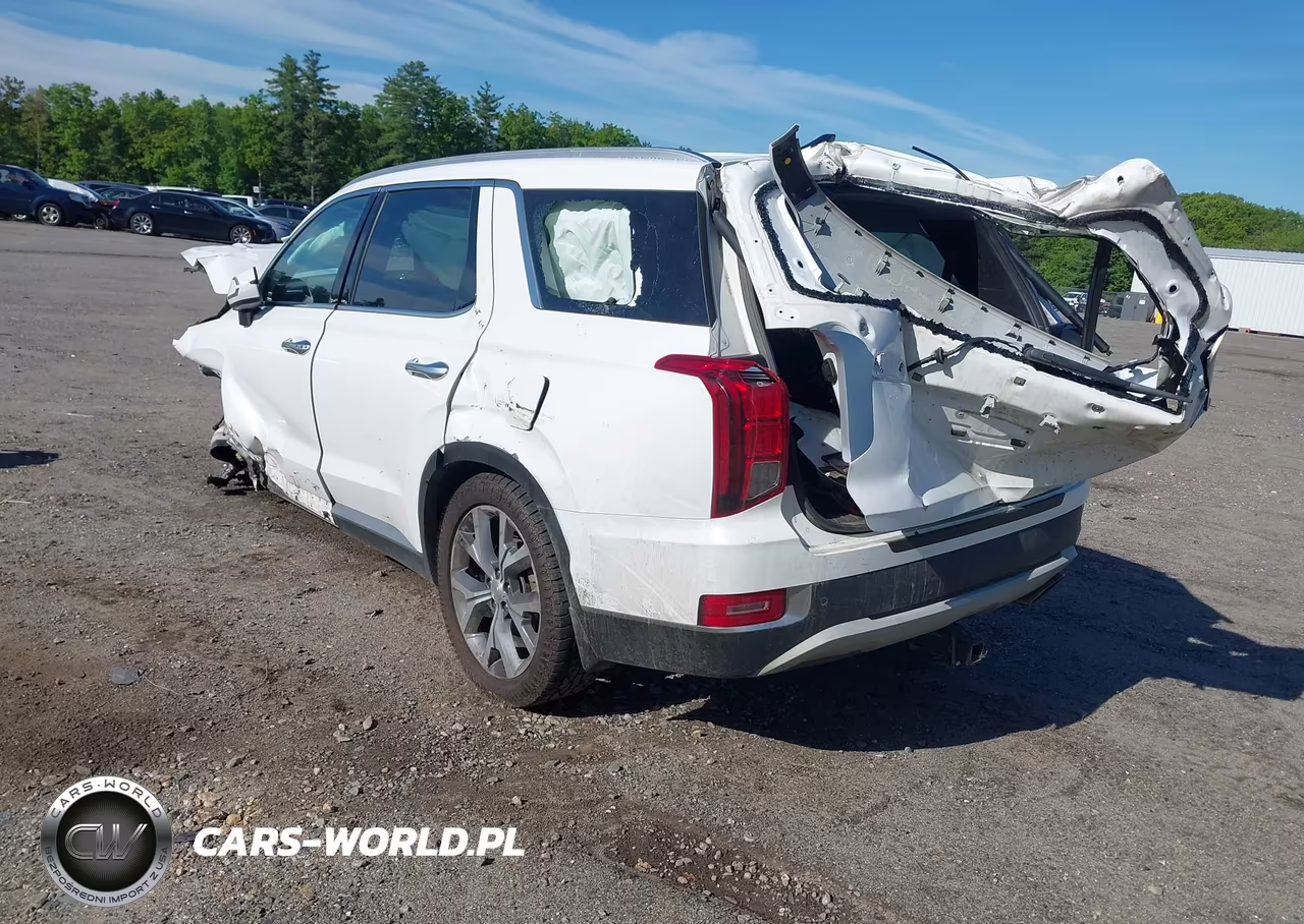 2021 Hyundai Palisade Sel VIN:KM8R4DHEXMU253288 - 3