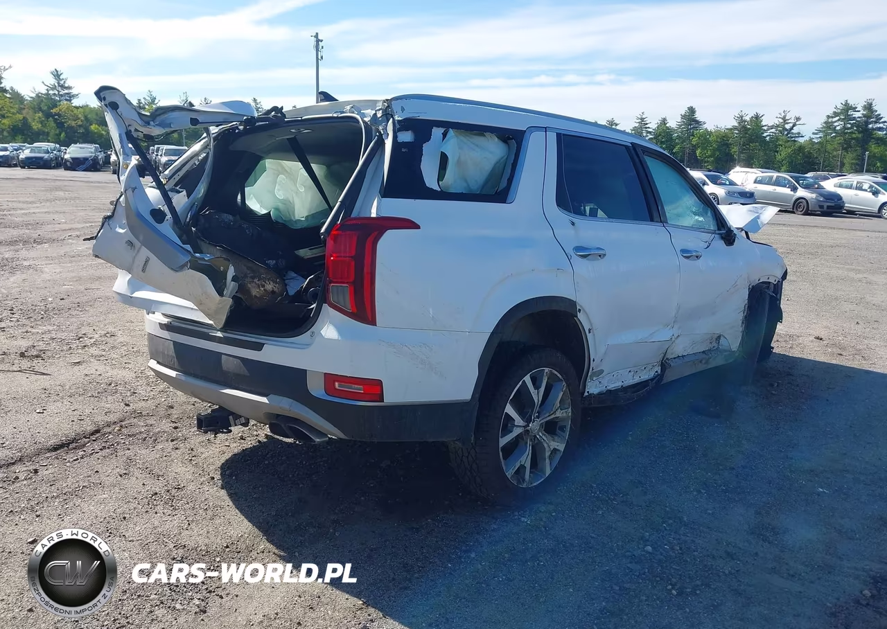 2021 Hyundai Palisade Sel VIN:KM8R4DHEXMU253288 - 4