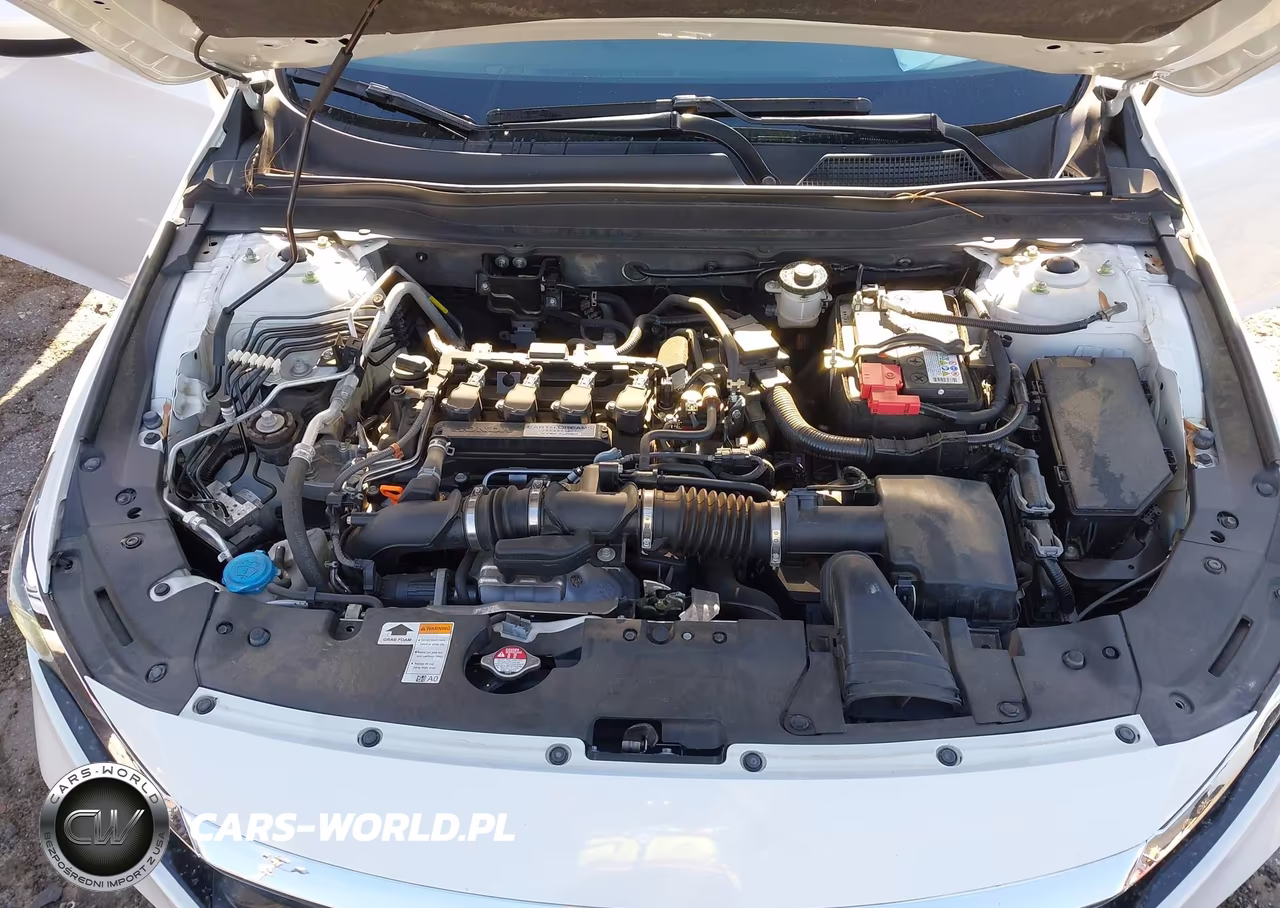 2019 Honda Accord Lx VIN:1HGCV1F16KA174092 - 10
