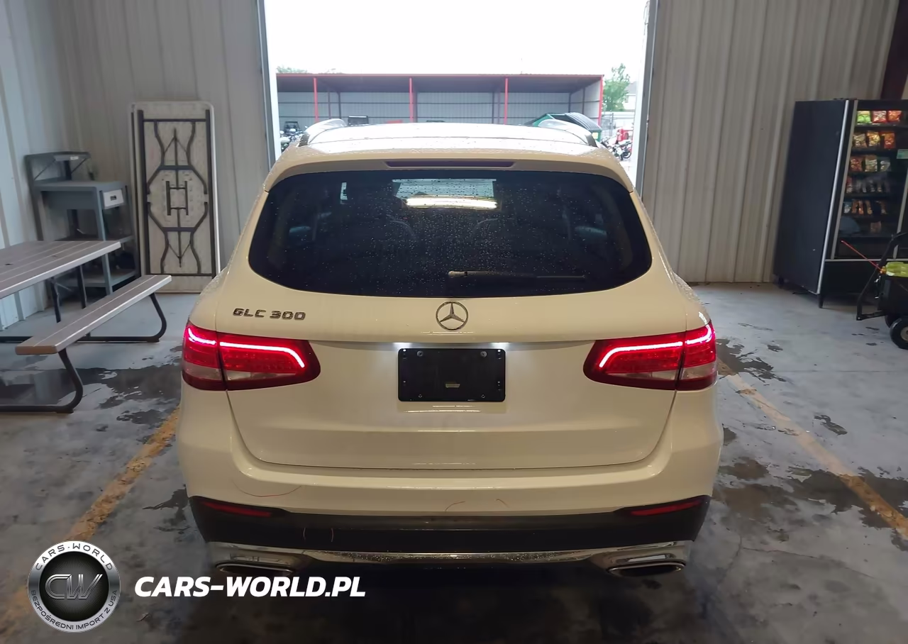 2017 Mercedes-Benz Glc 300 VIN:WDC0G4JB6HF279900 - 16