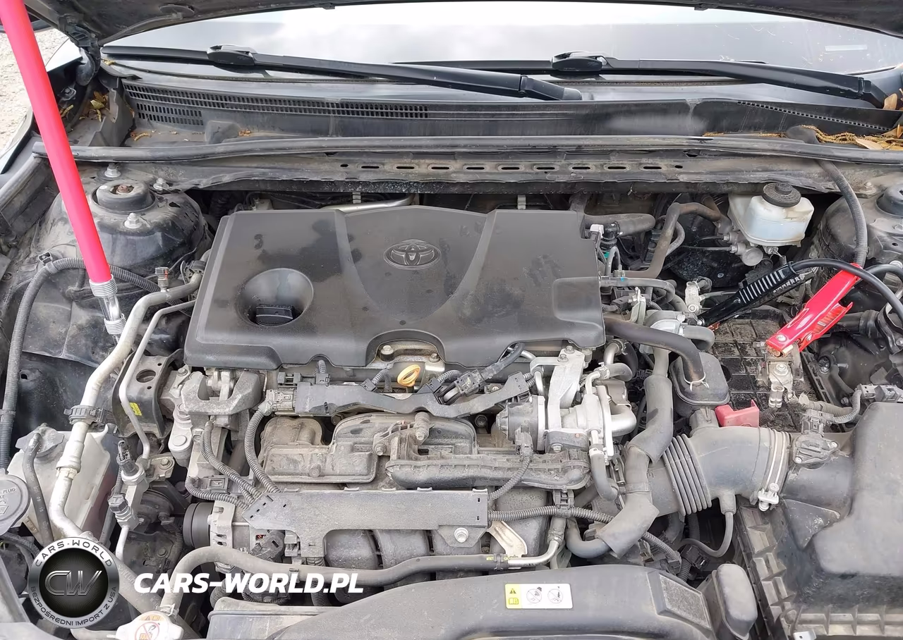 2019 Toyota Camry Le VIN:4T1B11HK9KU765507 - 10