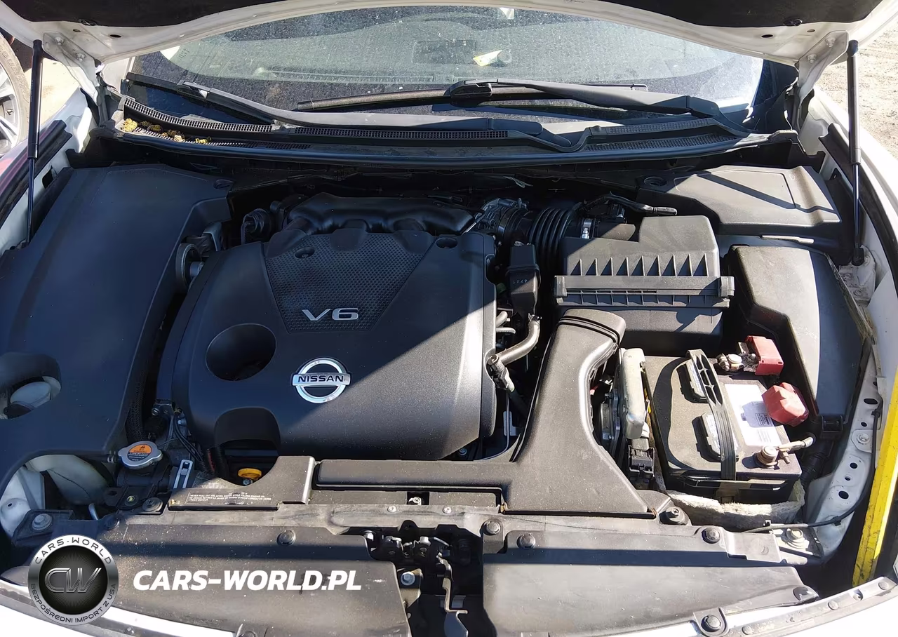 2014 Nissan Maxima 3.5 Sv VIN:1N4AA5AP8EC909755 - 10