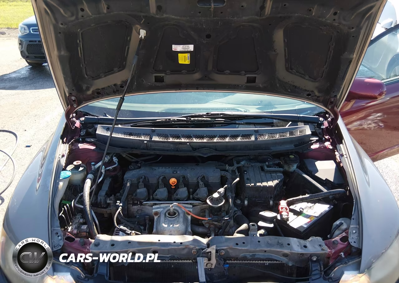2010 Honda Civic Lx VIN:19XFA1F56AE071969 - 10