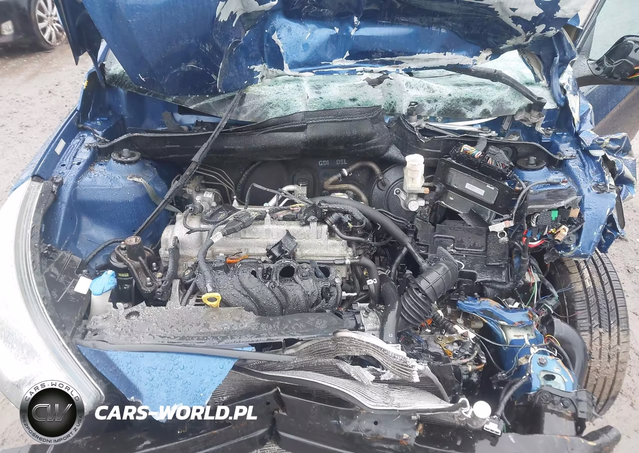 2016 Hyundai Accent Se VIN:KMHCT4AE8GU072987 - 10