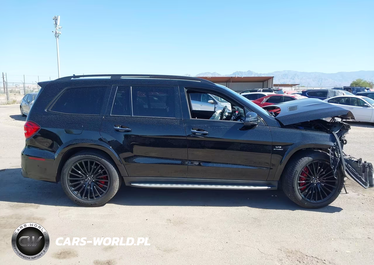 2019 Mercedes-Benz Amg Gls 63 4Matic VIN:4JGDF7FE7KB189664 - 12